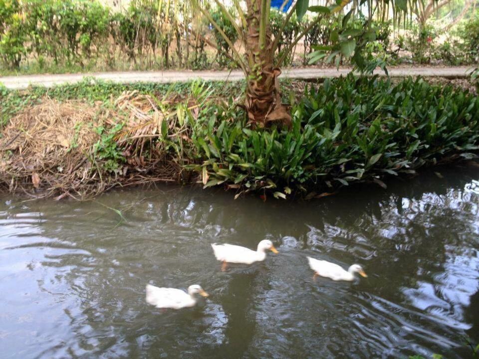Nam Thanh Homestay Vĩnh Long エクステリア 写真