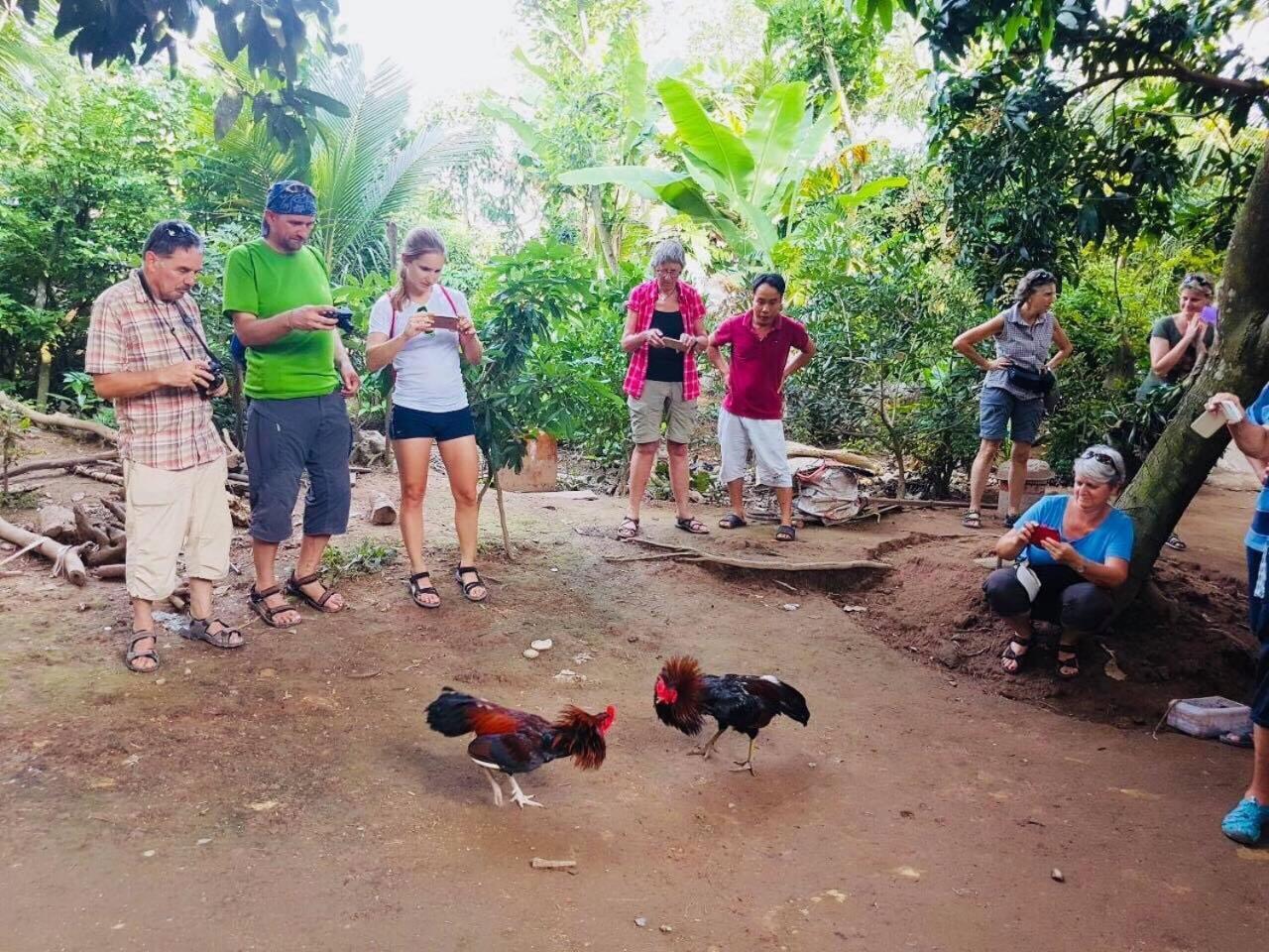 Nam Thanh Homestay Vĩnh Long エクステリア 写真